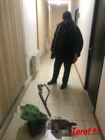 Qaxda cüyür ovlayan şəxs saxlanılıb