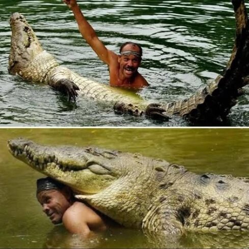 Чито посвятил себя спасению жизни Почо.