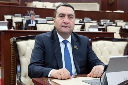 Əli Kərimli haqda məqaləni bəyənən YAP-ın deputatı DANIŞDI - FOTO