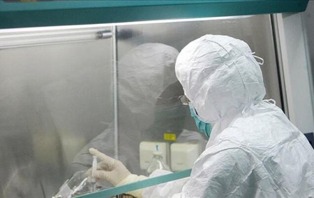 Xəbərdarlıq: Virus yayılır