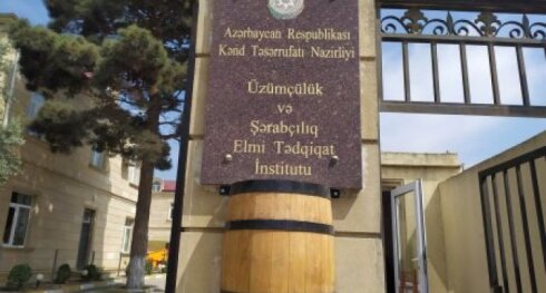 “İnam Grop 2024” MMC Üzümçülük və Şərabçılıq İnstitutuna həm təmir, həm də elmi tədqiqat xidmətləri göstərir -