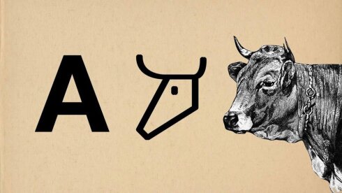 ‎Fenike Alfabesi dünyanın en eski alfabedir.