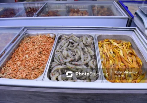 Krevetka biznesində paradoks: Tələbat var, istehsal yoxdur