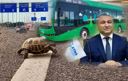  150 saylı marşrutda tısbağa sürətli “EcoBus” -