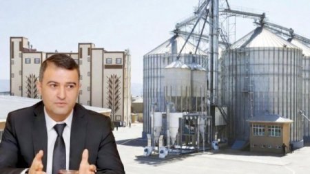 Naxçıvanda taxıl qalmaqalı -