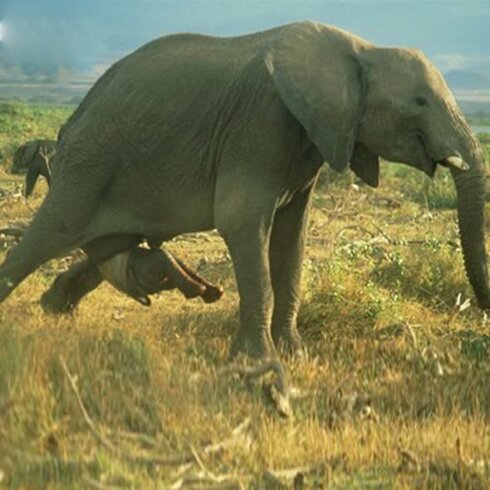 20 İL SONRA BİR MÖCÜZƏ: