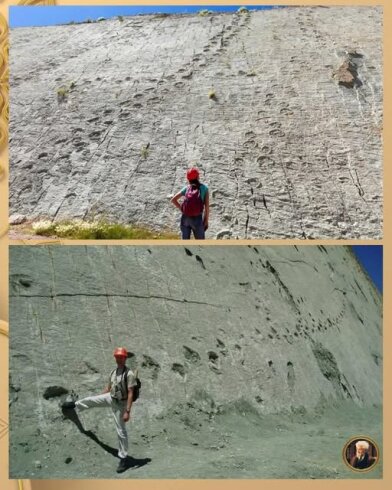 Boliviyadakı Ca'l Orco əhəngdaşı yamacında dünyada ən böyük dinozavr izləri - 5000 ilə 10000 arasında - mövcuddur.