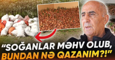 Hər il yaxşı məhsul olurdu, amma indi satış yoxdur” –