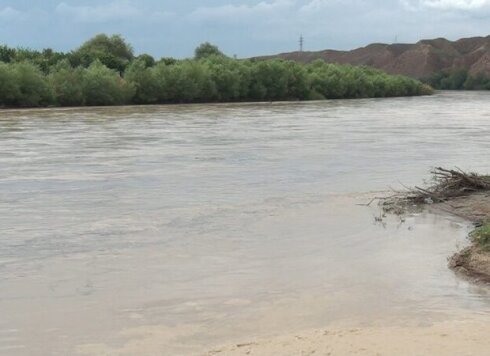 Kür çayı daşdı – Samuxda əkin sahələrini su basdı