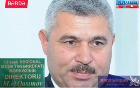 Bərdədə kütləvi ağac qırğını iddiası – 5 hektar ərazi niyə boşaldılıb?