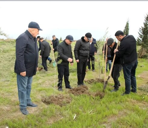 Ağcabədinin icra başçısının barəsində inanılmaz faktlar yazıldı və…