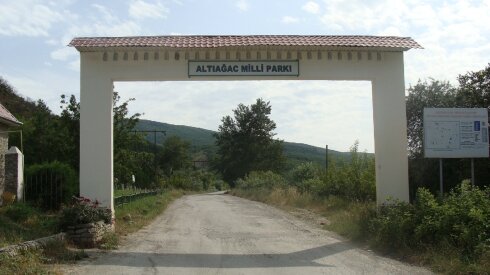 Altıağacı kim zibil poliqonuna sevirib -