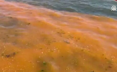 Marmara niyə qəribə rəngə boyandı? — Səbəb