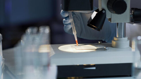 Yarasa koronovirusu insanları yoluxdurmaq üçün yeni mexanizmlərdən istifadə edir