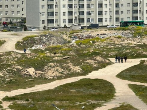 Hövsan MİDA layihəsində şok vəziyyət: İtlər, həşəratlar və üfunət kabusu…