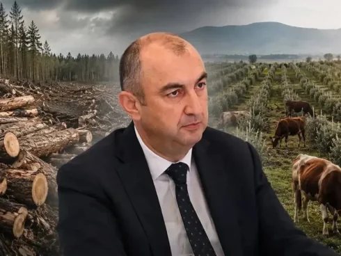 Dövlətin yaşıl siyasətini “qara biznes”ə çevirənlər… -