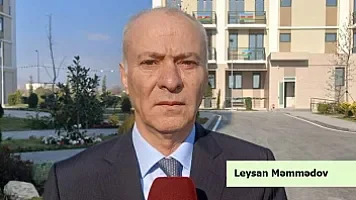 Leysan Məmmədovun qohumbazlıq mexanizmi: əmisinəvəsinə yönələn milyonluq tenderlər