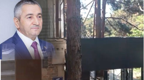 Sabunçuda parkı obyektə çeviriblər - Ağacların üsyanı... VİDEO