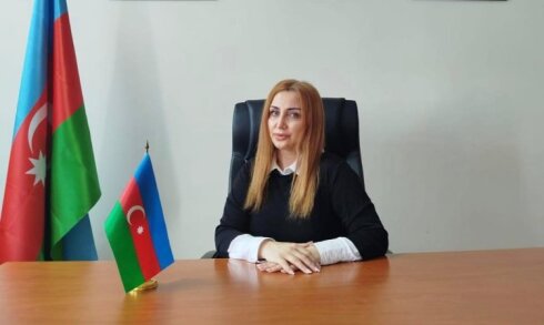 Gülnar Nəsrullayevanın rəhbəri olduğu 315 saylı məktəbdə 8 sinif şagirdinə qarşı….