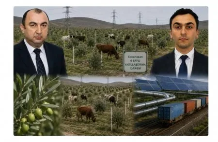 Nazir müavini ilə “Azəryaşlandşaft” ASC-nin sədrini nə birləşdirir? –