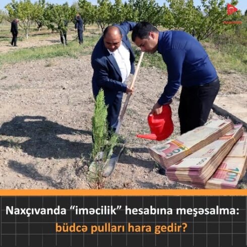 Dövlət işçiləri tingi öz pullarına alır, ağacı özləri əkir, yanacaq xərcini də özləri çəkirsə, meşəsalma üçün ayrılan vəsait kimə xərclənir?