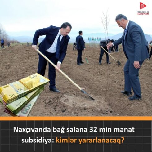 Meyvə bağları üçün ölkədə ən yüksək subsidiya məbləğləri Naxçıvanda tətbiq olunacaq. -  Amma bu pulu kim alacaq?