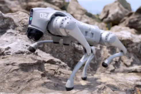 Qazaxıstanda ilk dəfə süni intellektə malik robot-it qanunu pozanları aşkarlayıb