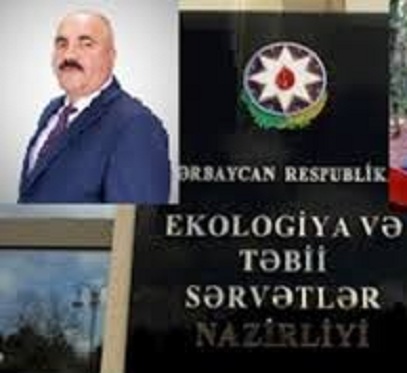 Yardımlı meşələrində fəlakət: 11 saylı Rİ təbiəti biznes mənbəyinə çevirib? Ramik Əşrəfov bu şəkillər köhnə deyil..  FOTO